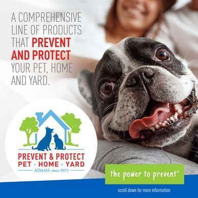 Спрей від бліх та кліщів для собак та котів ADAMS Plus Flea & Tick Spray ADAMS&trade;