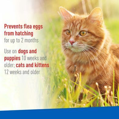 Спрей від бліх та кліщів для собак та котів ADAMS Plus Flea & Tick Spray ADAMS&trade;