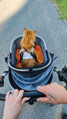 Cкладна коляска для домашніх тварин зі знімною переноскою Oui Oui Pet Stroller YA01K Grey Oui Oui