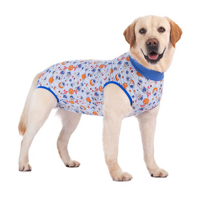 Послеоперационный боди для собак LOVEPET Blue astronaut