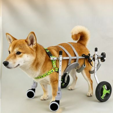 Інвалідний візок для собак Derby 4 Wheels Disabled Dog Wheelchair Derby