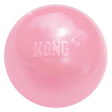 М'яч для цуценят KONG Puppy Ball KONG