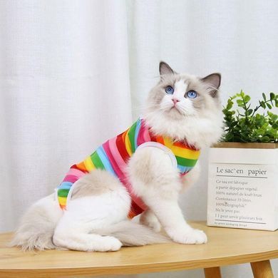 Одежда для кошек после операции Holley Rainbow Holley