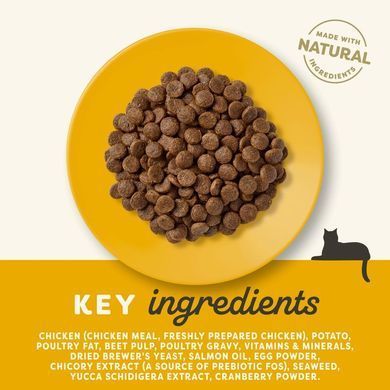 Сухой корм для пожилых кошек Applaws Senior Chicken + пробиотик Applaws