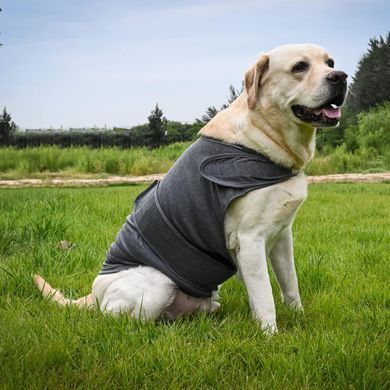 Заспокійливий жилет для собак WanTalk Dog Anxiety Jacket, Dark Grey Wan talk