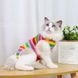 Одежда для кошек после операции Holley Rainbow, S, 22 см, 30 см