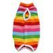 Одежда для кошек после операции Holley Rainbow, S, 22 см, 30 см