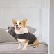 Заспокійливий жилет для собак WanTalk Dog Anxiety Jacket, Dark Grey, XS, 17 см, 22-30 см, 20-25 см