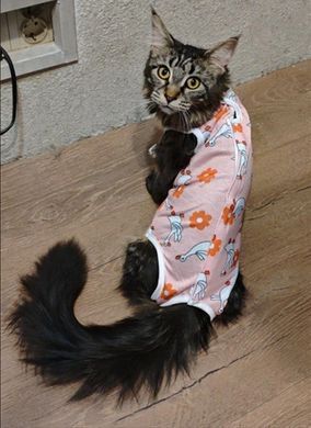 Одяг для котів після операції Holley Swan Holley
