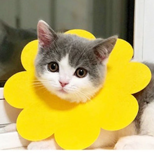 Захисний комір для котів Derby Sunflower Yellow Derby