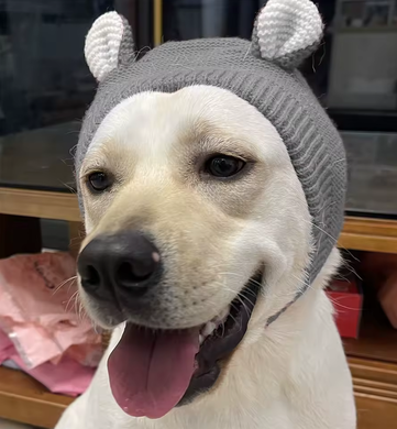 Зимняя теплая шапка для собак Knitted Stretchy Silent Dog Ear Hat
