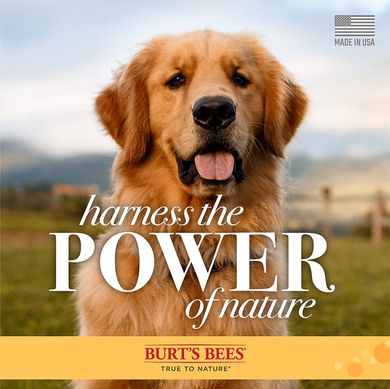 Натуральний заспокійливий лосьйон для лап і носу Burt's Bees for Dogs Care Plus+