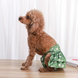 Багаторазовий підгузок-спідниця для сук Derby Spring Flowers, XS, 20-30 см