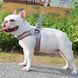 Шлея для собак Derby Duomm Pet harness FH106 Derby