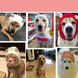 Зимняя теплая шапка для собак Knitted Stretchy Silent Dog Ear Hat
