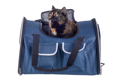 Сумка-рюкзак для переноски собак и котов Voyager Pet VB2139 Voyager Pet