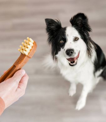 Натуральні ласощі для зубів собак WHIMZEES Dental Treats Toothbrush WHIMZEES