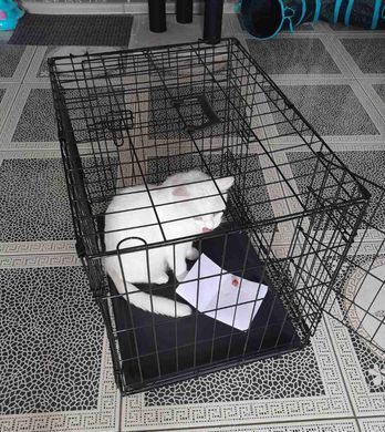 Металлическая клетка для собак с поддоном OYPLA Pets