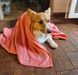 Полотенце для собак Fovis из премиум микрофибры, персиковое, 50х70 см