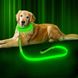 LED-повідок для собак BSEEN, Зелений