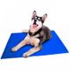 Охолоджуючий килимок для собак GEL Pet Cooling Mat, 50х90 см