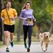 Сумка для выгула и тренировок собак Verveinna Dog Treat Training Pouch Yellow sand