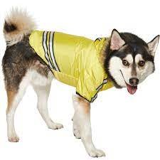 Дощовик для собак Coleman Dog Raincoat Yellow