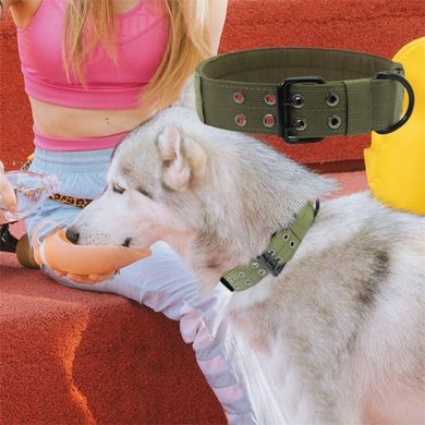 Регульований нейлоновий нашийник для дресирування службових і домашніх собак Derby