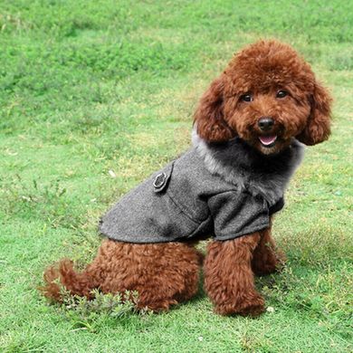 Пальто з хутряним коміром для собак