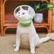 М'який ветеринарний комір для котів Green Cat Elizabeth Collar with a fruit pattern, M, 10-13 см, 14 см