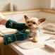 Крепкие перчатки для ухода за домашними животными Multi-Pet Grooming Dino