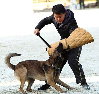 Рукав для дрессировки собак Linen Dog Training Bite Sleeve Khaki Derby
