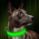 Світлодіодний ошийник для собак Illumifan LED dog collar, Зелений, Small