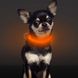 LED-ошейник для собак Higo, Оранжевый, X-Small