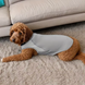 Літній сонцезахисний одяг для собак Derby Summer Sun-protective Dog Clothing, Grey, L, 25 см, 42 см, 29 см