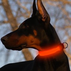 LED-ошейник для собак Higo