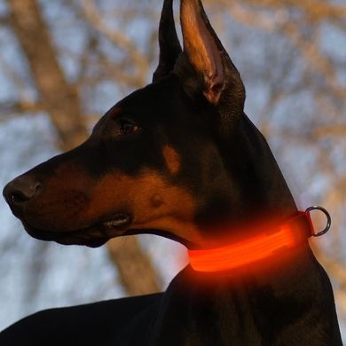 LED-ошийник для собак Higo