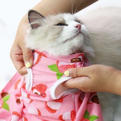 Одяг для котів після операції Holley Litchi Holley
