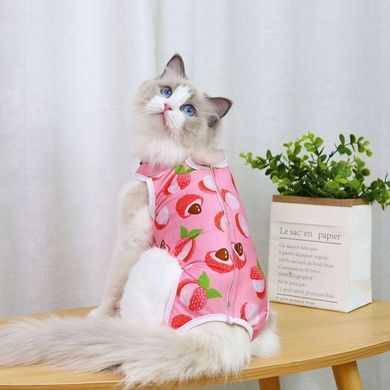 Одяг для котів після операції Holley Litchi Holley