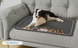 Літня охолоджуюча підстилка для собак Derby Ice Silk Material Summer Pet Cooling Mat Dogs Smile, 45х60 см