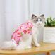 Одяг для котів після операції Holley Litchi, S, 19 см, 32 см