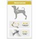 Шлея для собак Derby Duomm Pet harness FH106, Синий, X-Large