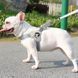 Шлея для собак Derby Duomm Pet harness FH106, Синий, X-Large