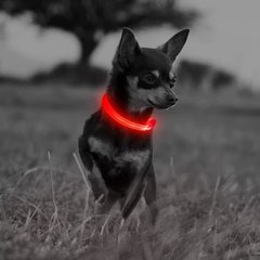 Светодиодный ошейник для собак Illumifan LED dog collar Illumifun