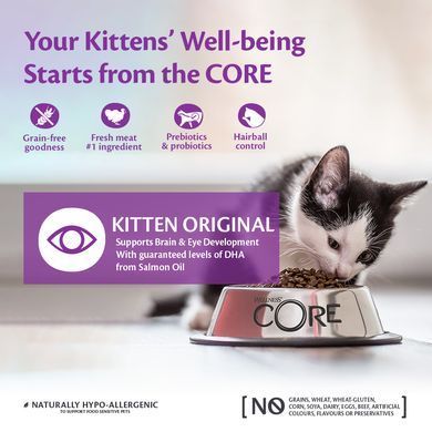 Сухий корм для кошенят Wellness CORE Kitten Original з індичкою та куркою Wellness CORE
