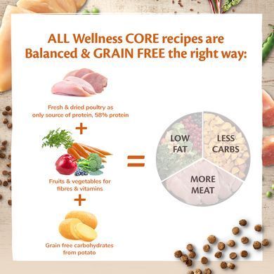 Сухий корм для кошенят Wellness CORE Kitten Original з індичкою та куркою Wellness CORE