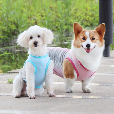 Дихаючий літній сонцезахисний одяг для собак Derby Breathable Summer Sun-protective Dog Clothing, Pink/Grey Derby