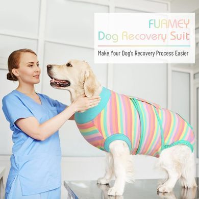 Попона для відновлення собак Wan Talk Recovery Suit, Turquoise Stripes Wan talk