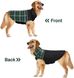 Зимняя двухсторонняя куртка British Green для собак, S, 31 см, 45-55 см, 32-42 см