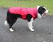 Непромокаемое супер теплое пальто для собак мелких пород и щенков на флисе, L, 40 см, 56-64 см, 40 см